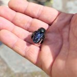 phoca_thumb_m_velky  43 Fotogalerie